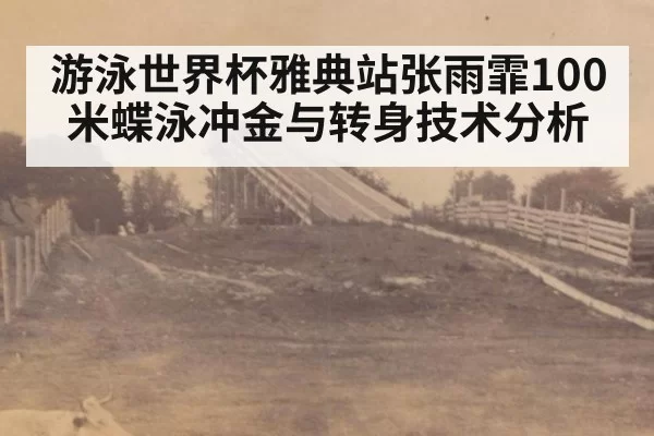 游泳世界杯雅典站张雨霏100米蝶泳冲金与转身技术分析
